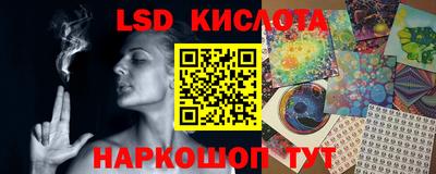 шишки Будённовск