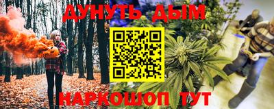 шишки Будённовск